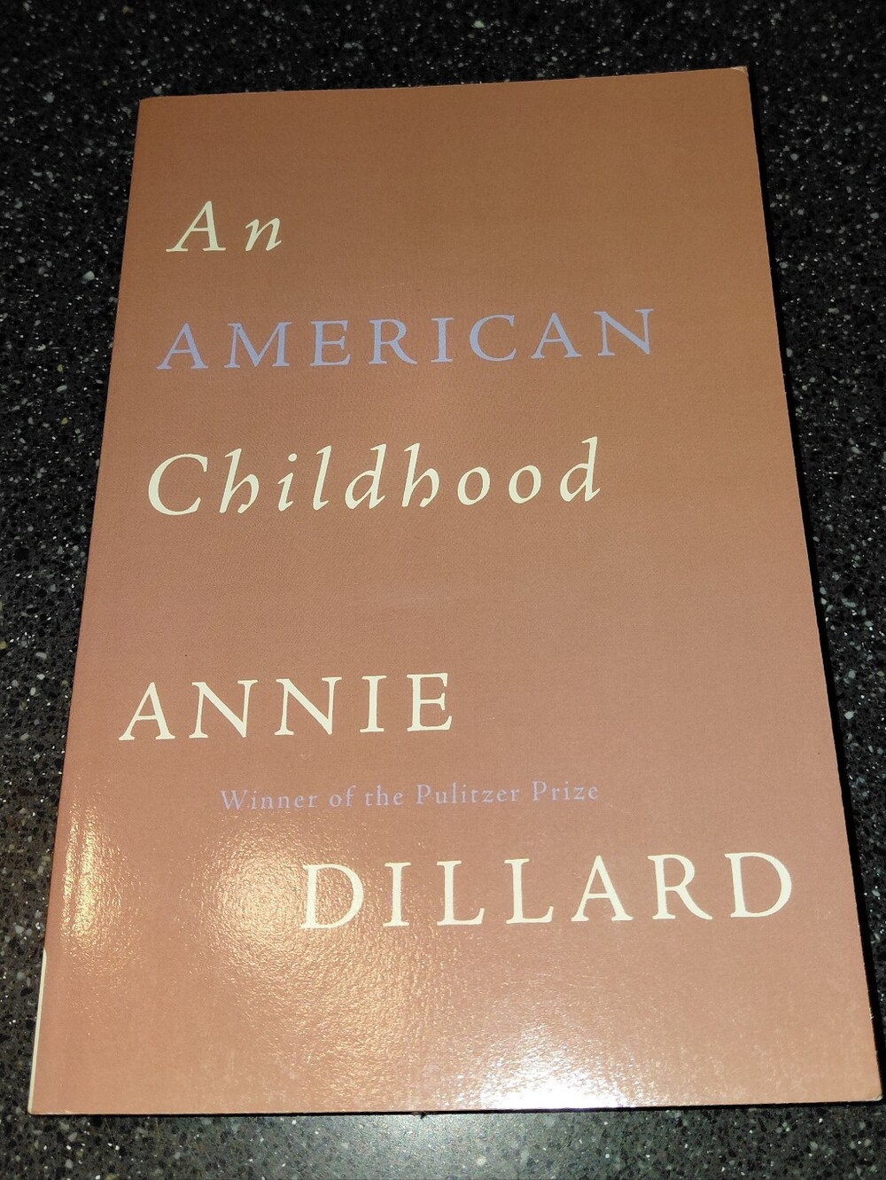 An American Childhood by Annie Dillard - Paperback Book